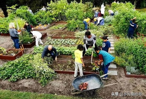 成就田园生活的食材花园 休闲农业设计的核心要素
