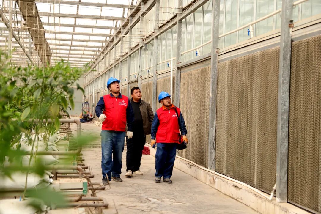 电力护航，为休闲农业产业发展注入“满格动能”