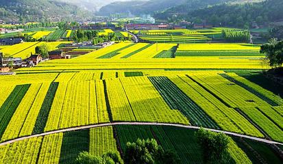 枣阳致富密码 休闲农业点亮绿色产业，绘就乡村振兴新画卷