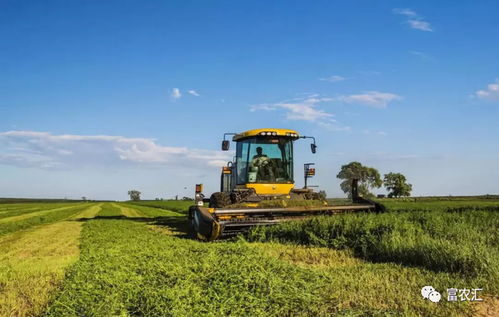 从三个维度重新审视农业特色小镇与休闲农业