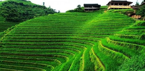 休闲农业的成功之道 融合、创新与可持续发展