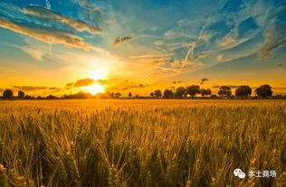 休闲农业 二十一世纪乡村旅游的新趋势