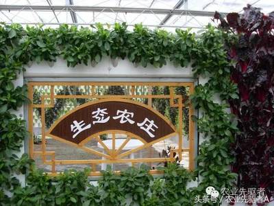 田园诗篇与产业共舞 打造成功休闲农业观光园的黄金法则