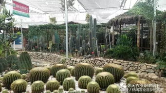 花卉苗木生产基地转型升级 打造休闲农业新业态的实践路径