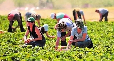 田园综合体丨休闲农业的7大模式30种类型