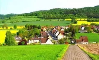 休闲农业运营的10大技巧及100种盈利模式