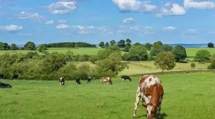 乡村旅游项目开发流程全面解析——打造高品质休闲农业体验